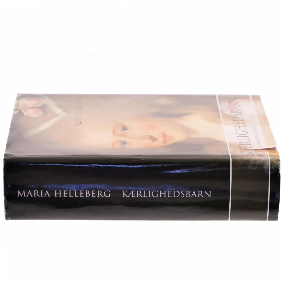 Kærlighedsbarn af Maria Helleberg (Bog)