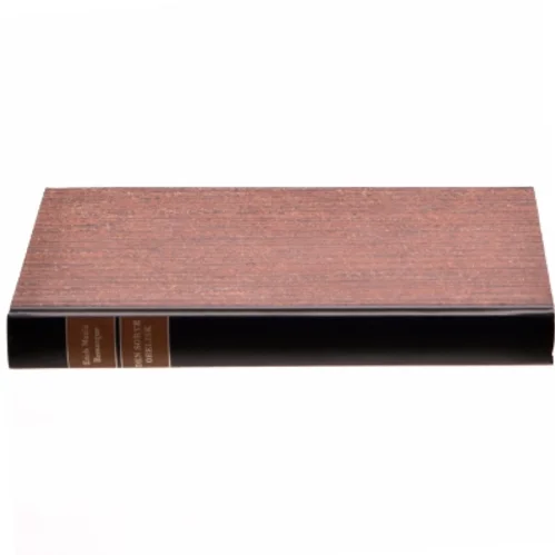 Den sorte obelisk af Erich Maria Remarque