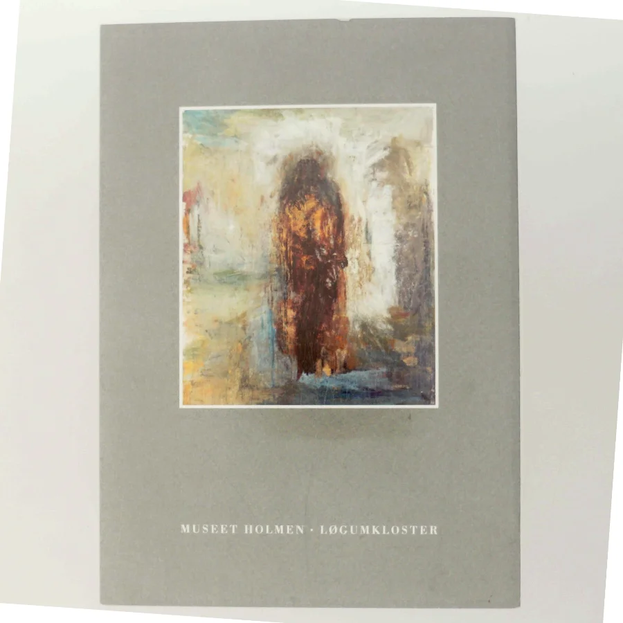 Usynlig til Synlig af Maja Lisa Engelhardt (Bog)