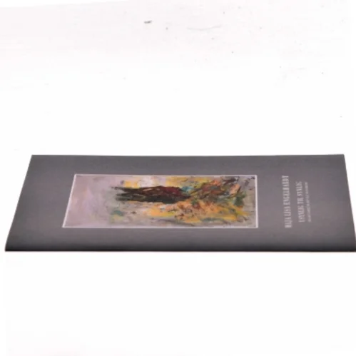 Usynlig til Synlig af Maja Lisa Engelhardt (Bog)