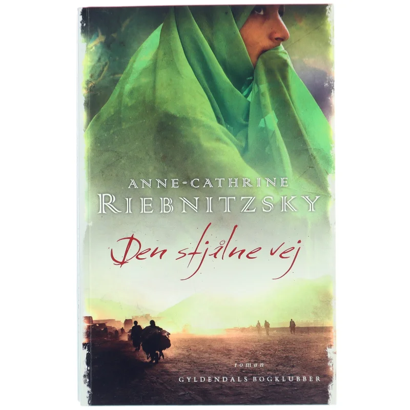 Den stjålne vej af Anne-Cathrine Riebnitzsky (Bog)