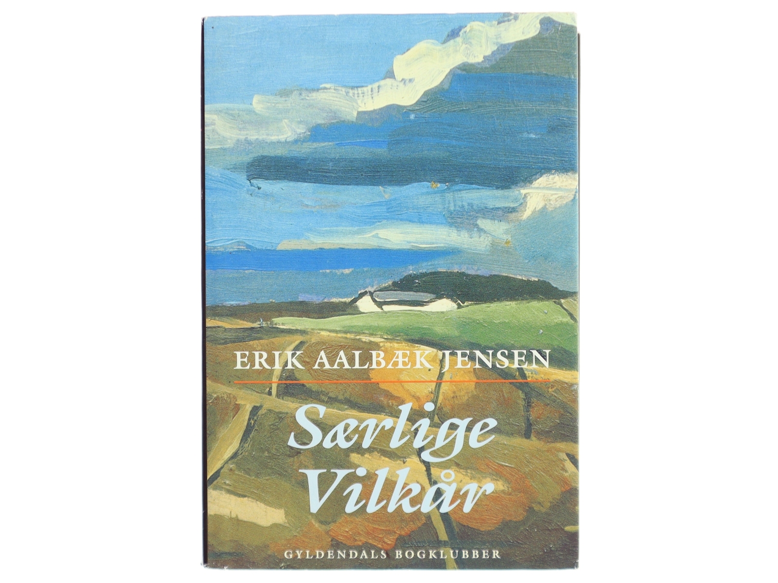 Særlige vilkår : roman af Erik Aalbæk Jensen (Bog)