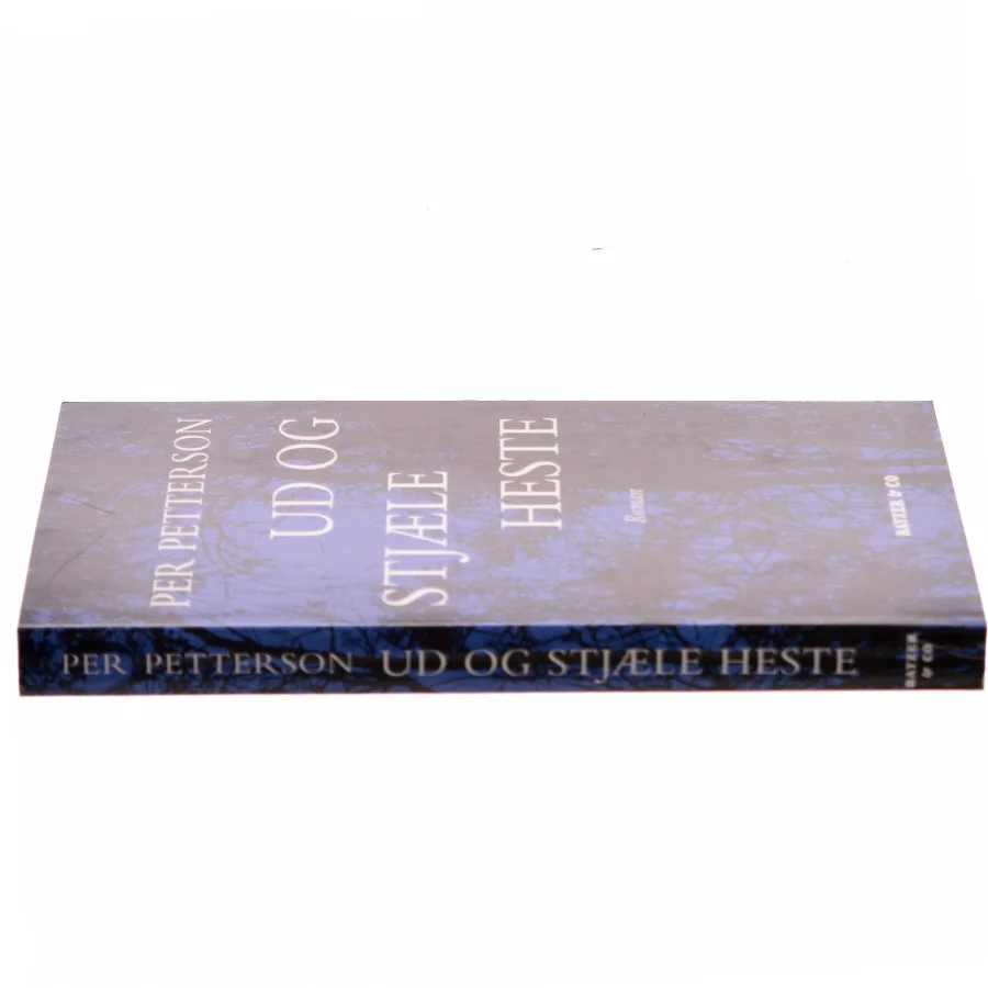 Ud og stjæle heste : roman af Per Petterson (Bog)