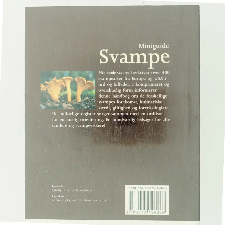 Miniguide Svampe (Bog)