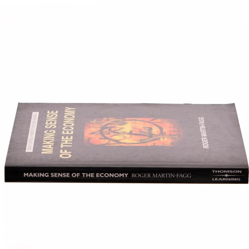 Making Sense of the Economy af Roger Martin-Fagg (Bog)