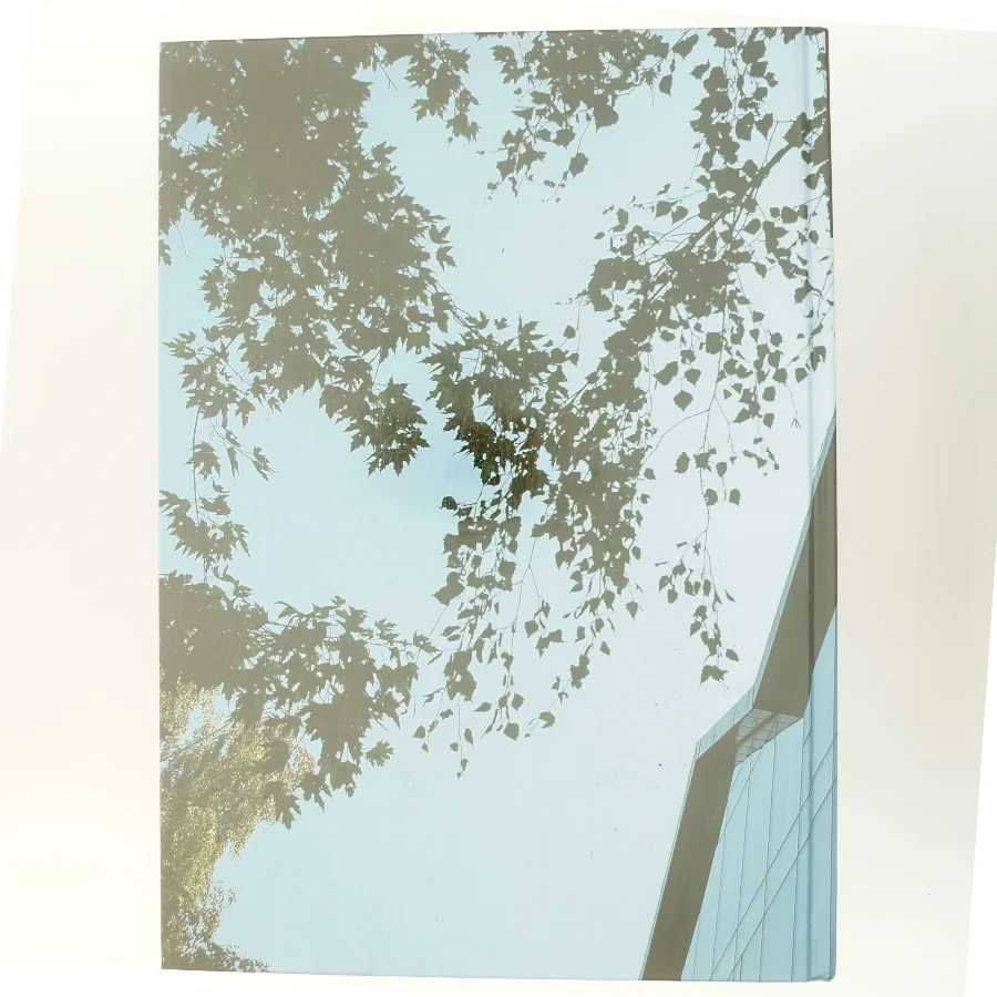 Highlights af Danielsen Architecture (Bog)