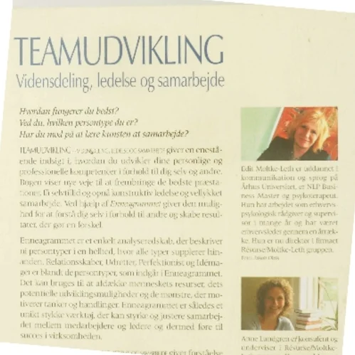 Teamudvikling : vidensdeling, ledelse og samarbejde (Bog)