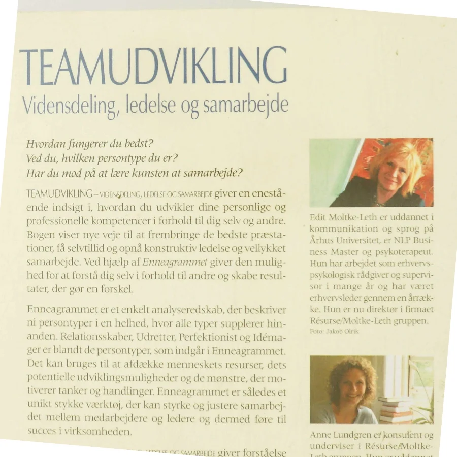 Teamudvikling : vidensdeling, ledelse og samarbejde (Bog)