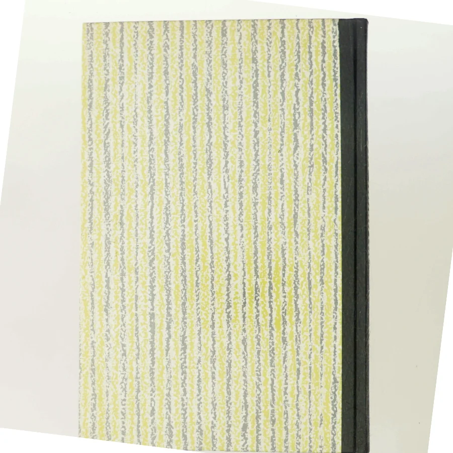 De fire hundrede af Stephen Sheppard (Bog)