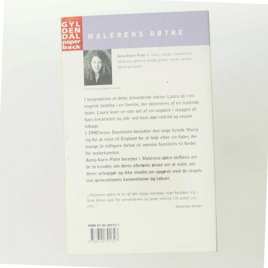 Malerens døtre af Anna-Karin Palm (Bog)