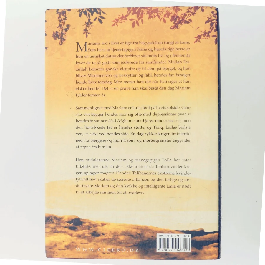 Under en strålende sol af Khaled Hosseini (Bog)
