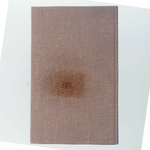 Crittenden: Last Stand af <Bogens forfattere> (Bog)