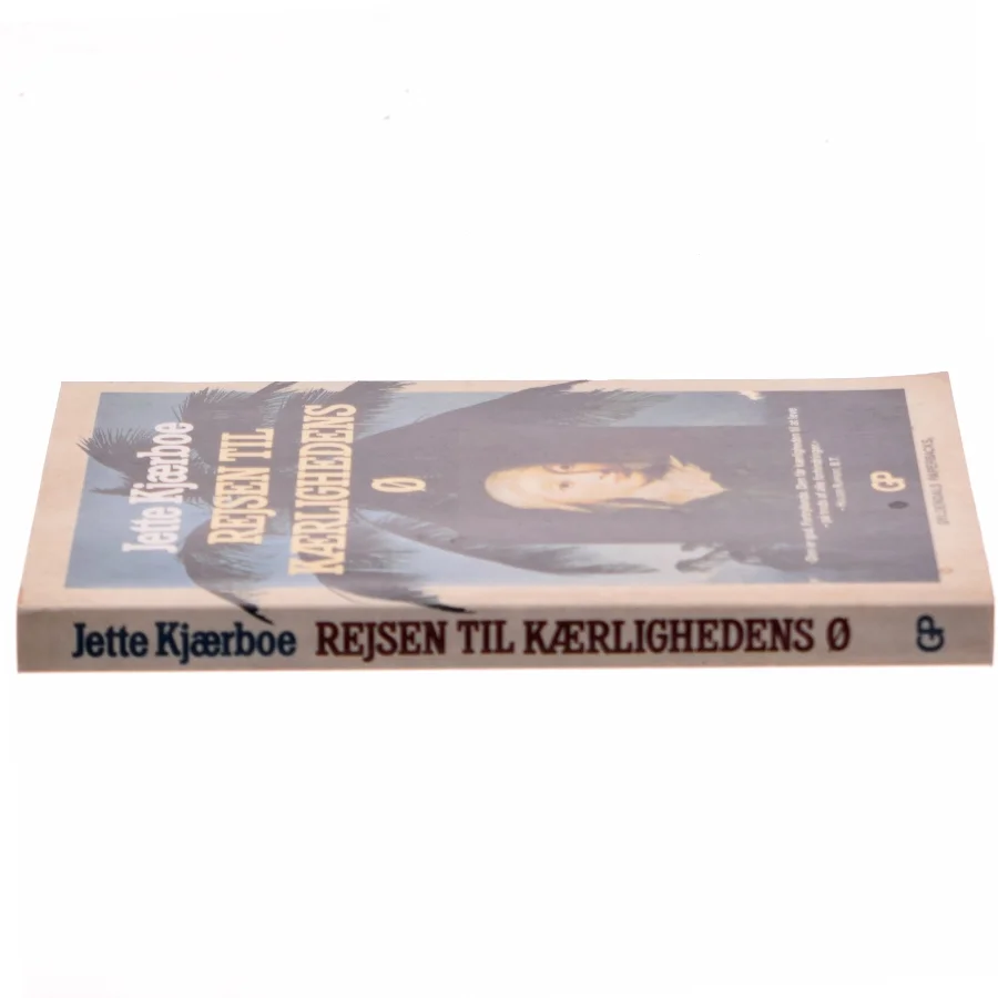 Rejsen til kærlighedens ø : roman af Jette Kjærboe (Bog)