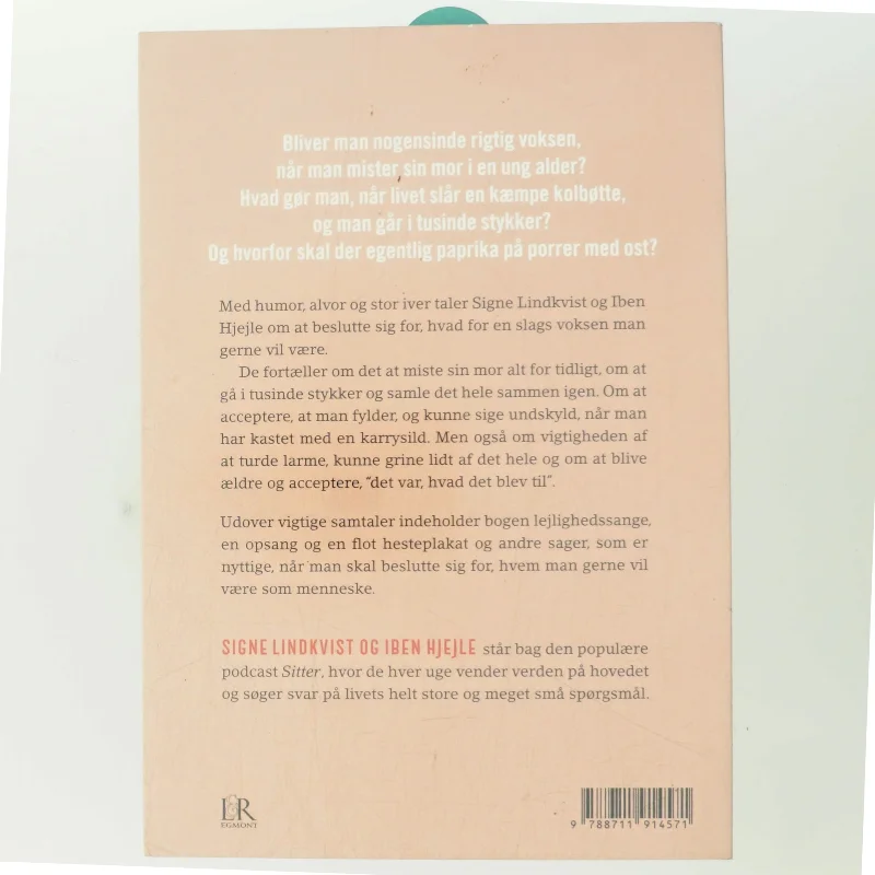 Er der en voksen til stede? af Iben Hjejle (Bog)