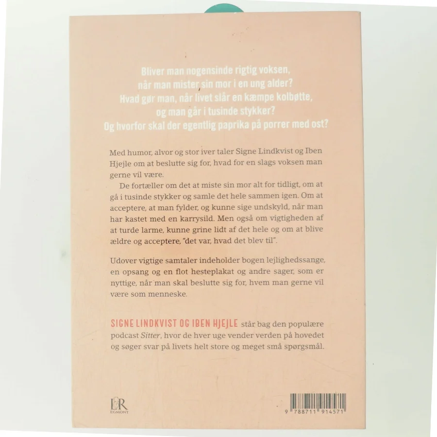 Er der en voksen til stede? af Iben Hjejle (Bog)