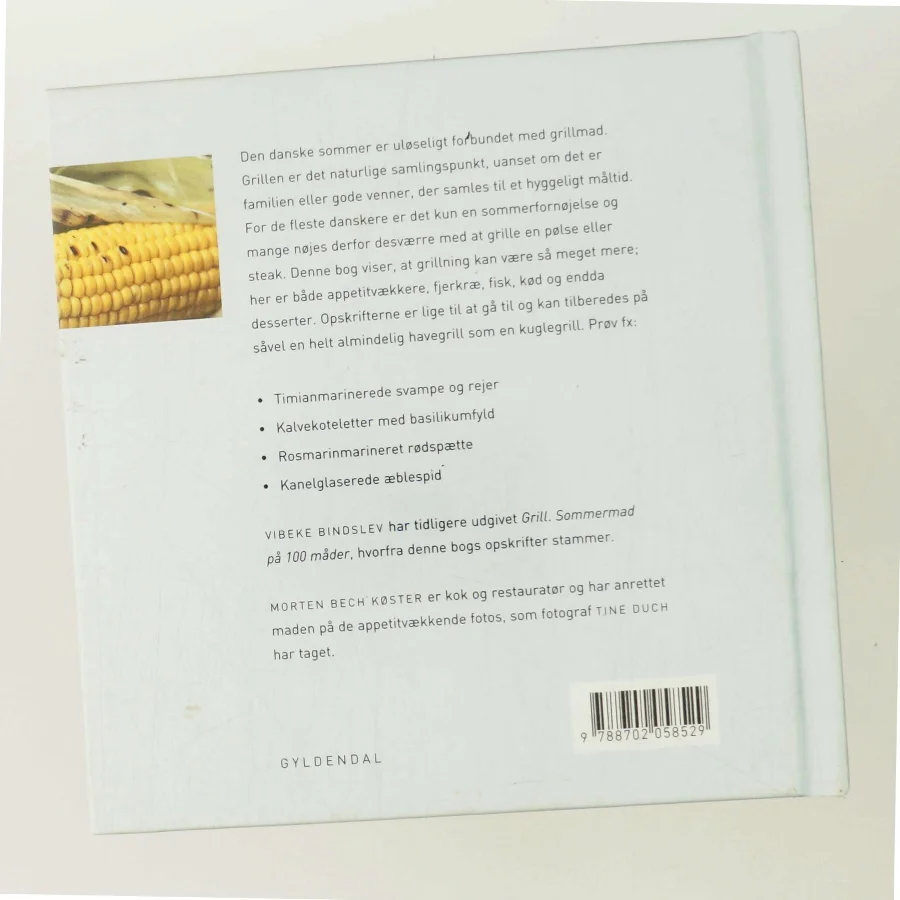 Spis godt - grill af Vibeke Bindslev (Bog)