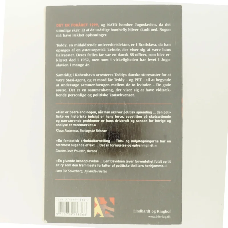 De gode søstre : roman af Leif Davidsen (Bog)