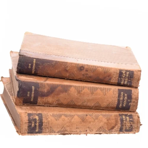 Erotikens Historie af Ove Brusendorff (Bog)