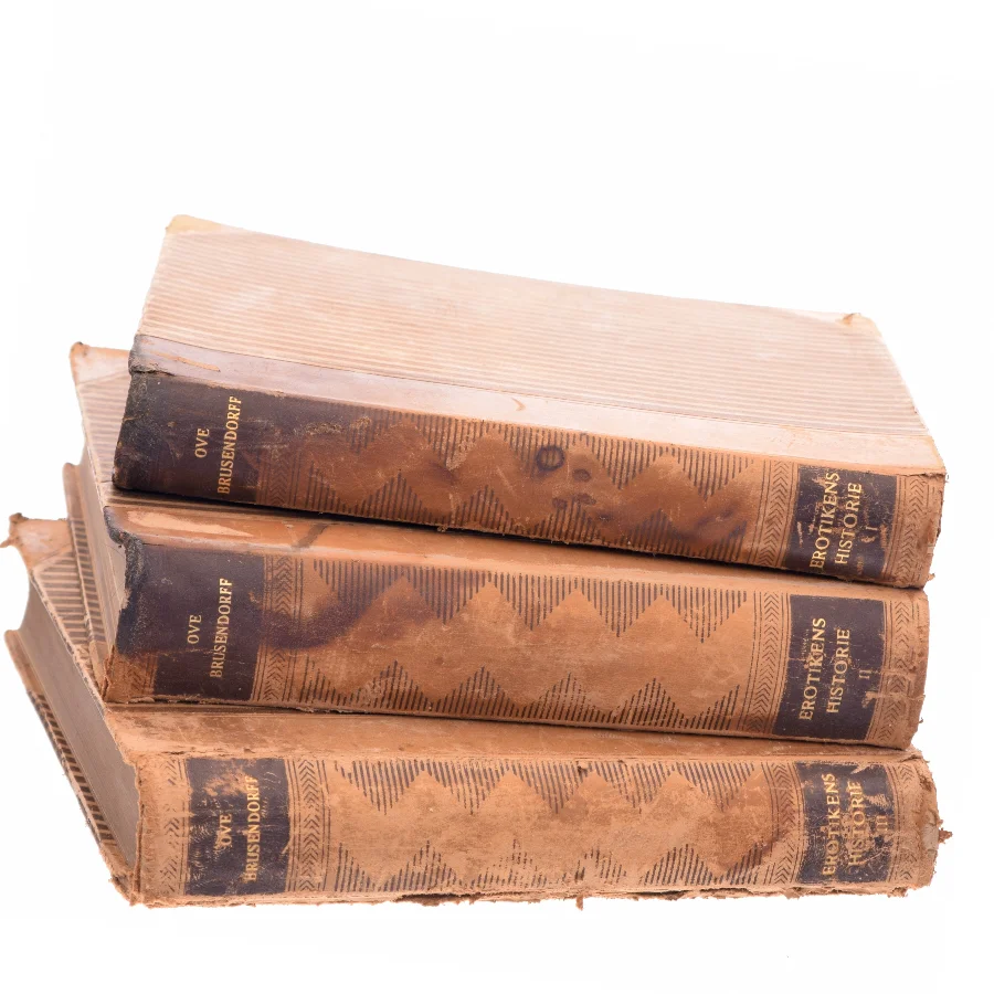 Erotikens Historie af Ove Brusendorff (Bog)