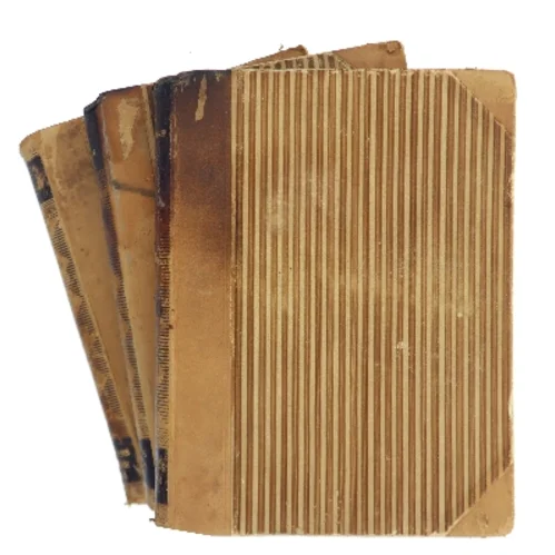 Erotikens Historie af Ove Brusendorff (Bog)