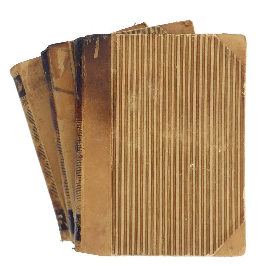 Erotikens Historie af Ove Brusendorff (Bog)