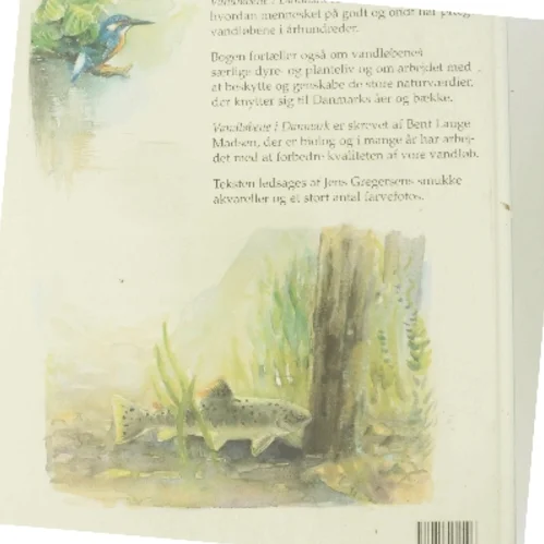 Vandløbene i Danmark (Bog)