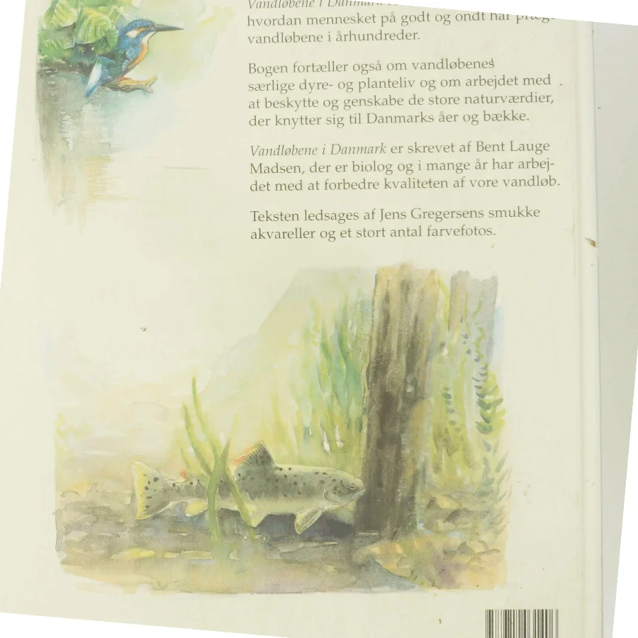 Vandløbene i Danmark (Bog)