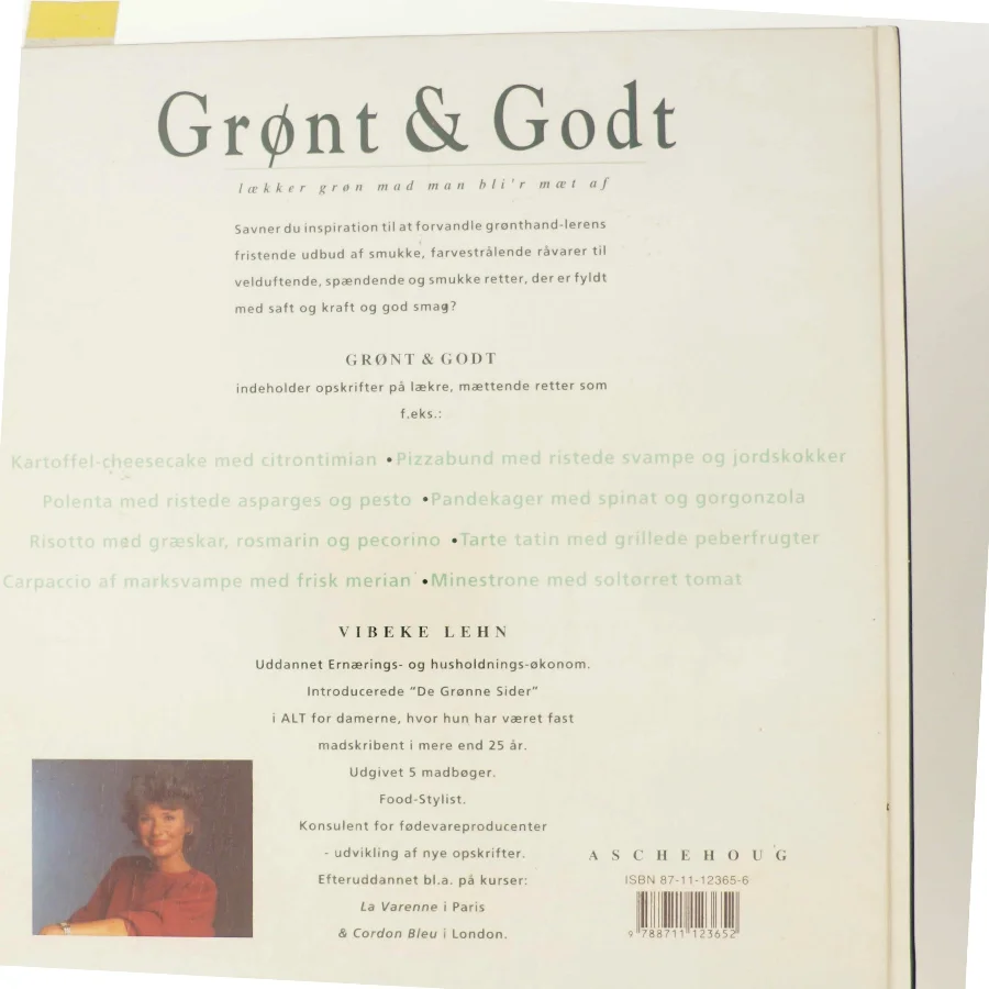 Grønt & godt af Vibeke Lehn (Bog)