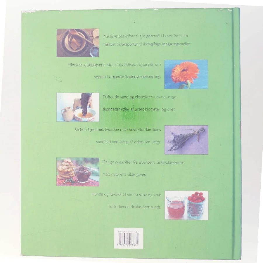 Sund fornuft af Rosamond Richardson (Bog)