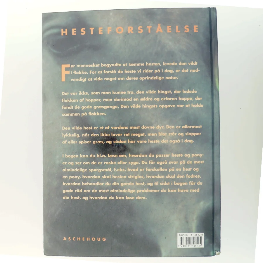 Hesteforståelse (Bog)