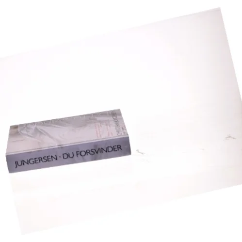 Du forsvinder af Christian Jungersen (Bog)