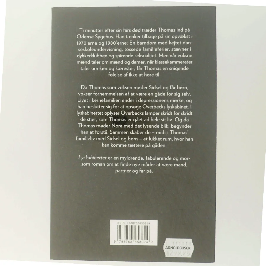 Lyskabinettet : roman af Morten Ramsland (Bog)