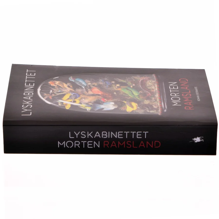 Lyskabinettet : roman af Morten Ramsland (Bog)