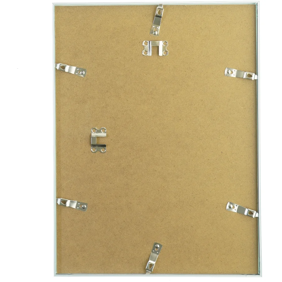 Indrammet Skagen billede (str. 41 x 30 cm)