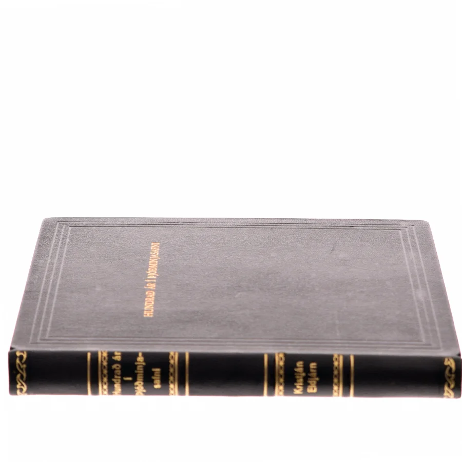 Hundrað Ár í Þjóðminjasafni af Kristján Eldjárn (Bog)