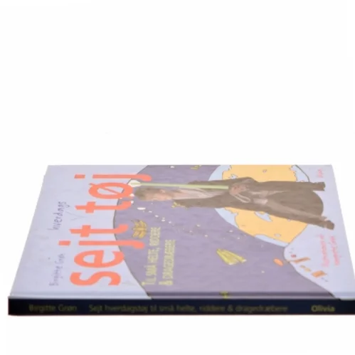 Sejt hverdagstøj til små helte, riddere og dragedræbere af Birgitte Grøn (Bog)