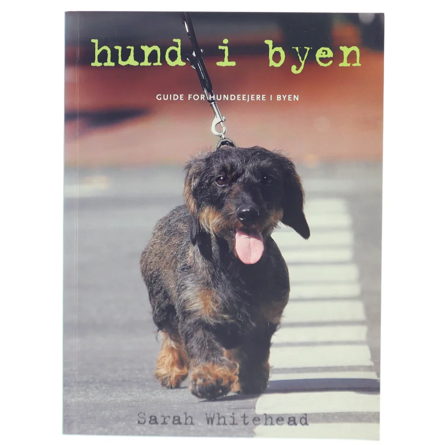 Hund i byen : guide for hundeejere i byen af Sarah Whitehead (Bog)