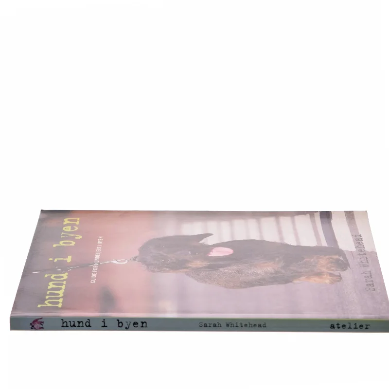 Hund i byen : guide for hundeejere i byen af Sarah Whitehead (Bog)