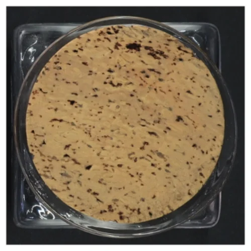 Glas beholder med korkprop (str. 10 x 9 x 9 cm)