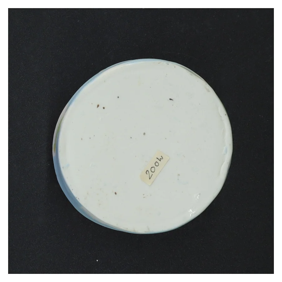 Porcelænsskål med gekko motiv (str. 5 x 9 cm)