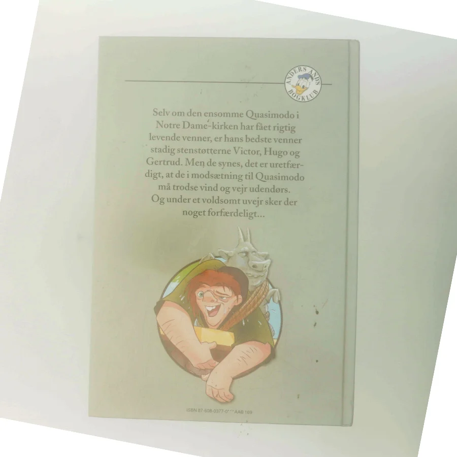 Quasimodo som redningsmand (Bog)