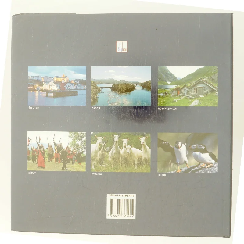 Ålesund og Sunnmøre af Oddbjørn Monsen (Bog)