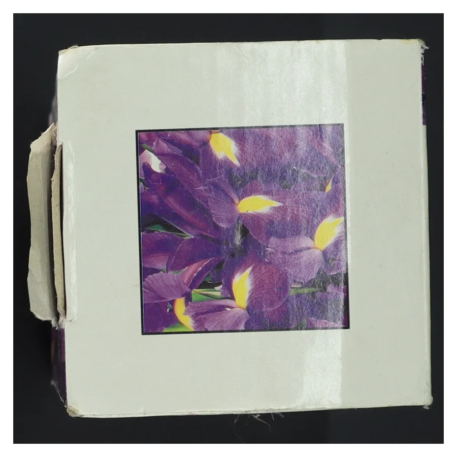 Glas vase med håndmalet design fra Luminarc (str. H. 21 cm)