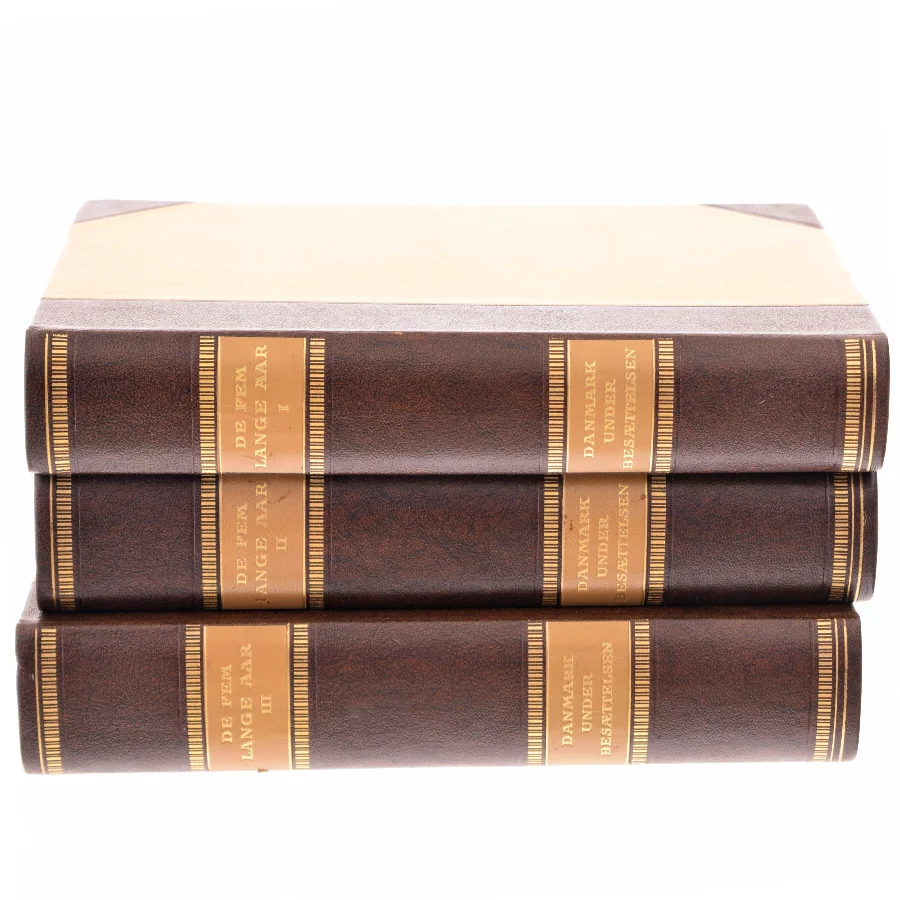 De Fem Lange År (Bog)