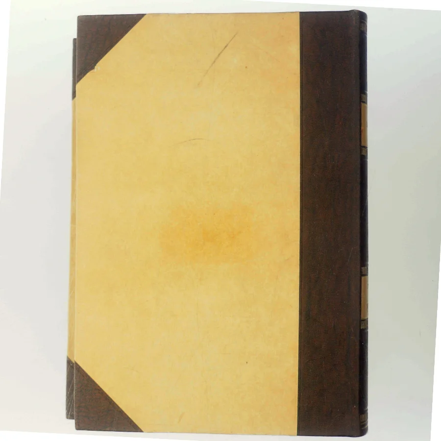 De Fem Lange År (Bog)