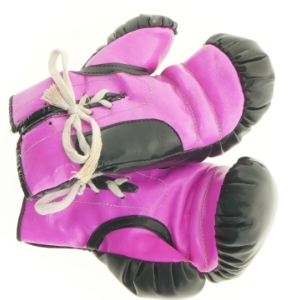 Boksehandsker (str. 24 x 15 cm)