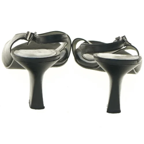 Damestiletter fra Daniel Hechter (str. 41 )