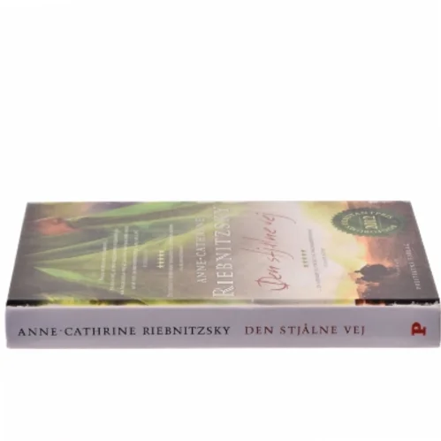 Den stjålne vej af Anne-Cathrine Riebnitzsky (Bog)