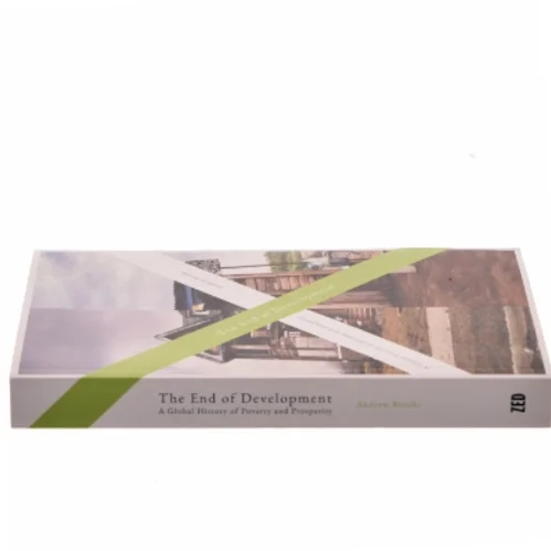 The end of development : A global history of poverty and prosperity af Andrew Brooks (Bog)