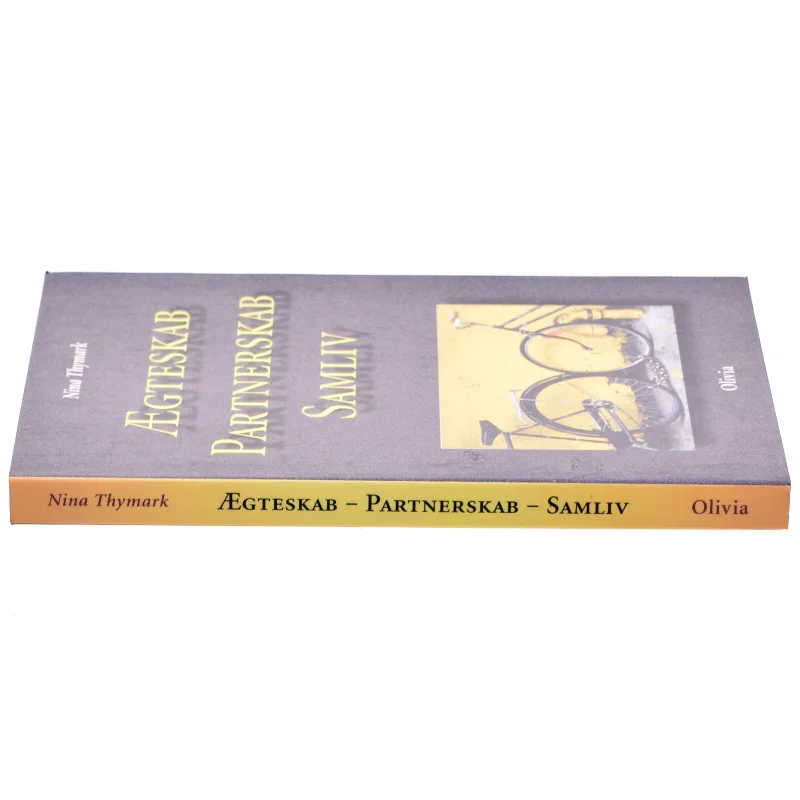 Ægteskab - partnerskab - samliv af Nina Thymark (Bog)
